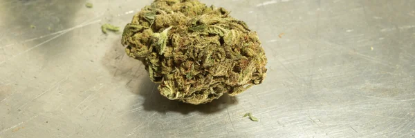 Marihuana — Stockfoto