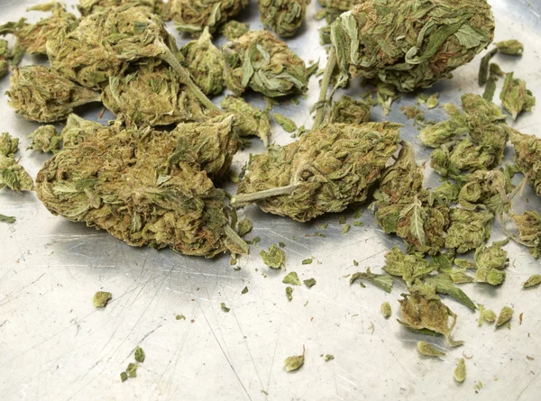 Marihuana Colorado — Foto de Stock