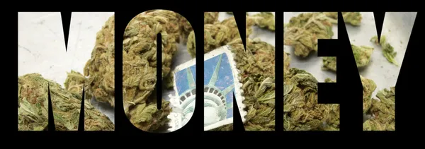 Przemysł amerykański marihuany — Zdjęcie stockowe
