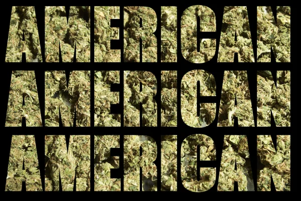 Amerikai rekreációs és gyógyászati marihuána ipar — Stock Fotó