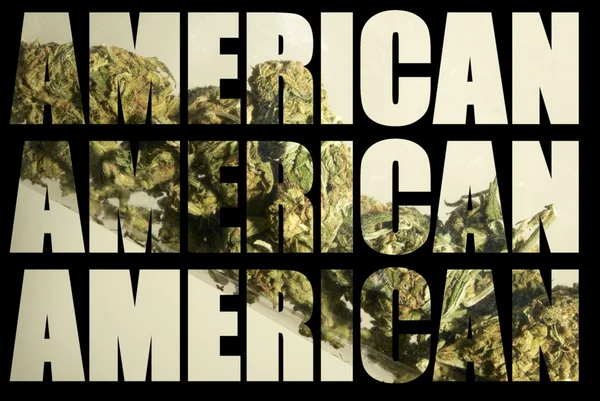 Americano industria de la marihuana medicinal y recreativo — Foto de Stock