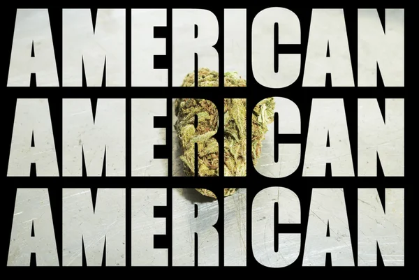 美国的娱乐和药用大麻产业 — 图库照片