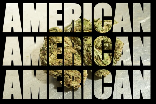American Recreational and Medicinal Marijuana Industry — Stock Photo, Image