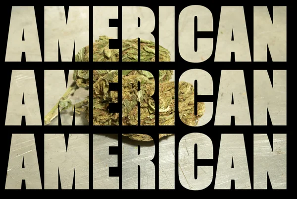 Industria americana marijuana medicinale e ricreative — Foto Stock