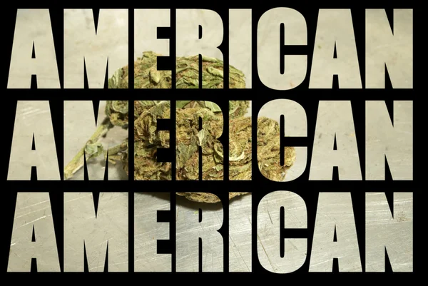 American Recreational and Medicinal Marijuana Industry — Stock Photo, Image