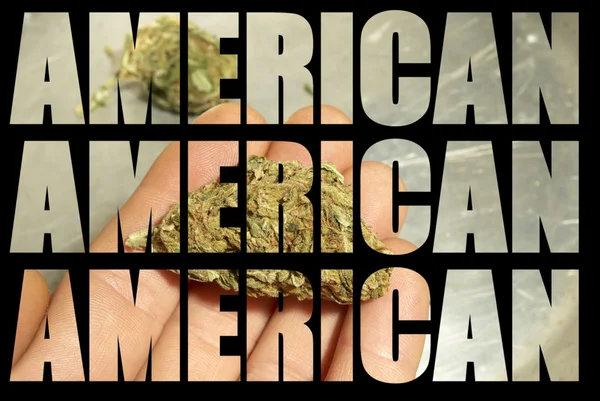 American Marijuana Industry — Stock Photo, Image