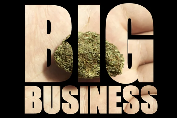 大麻产业 — 图库照片