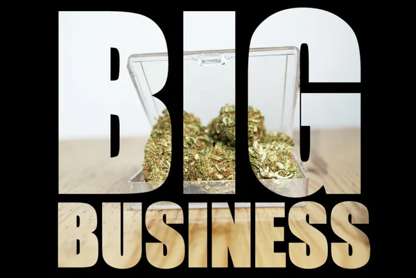 Marijuana Industry — Stock Photo, Image