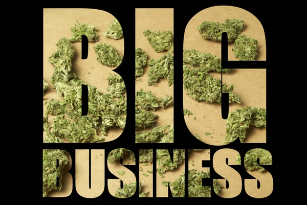 大麻产业 — 图库照片