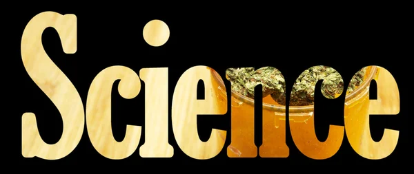 Marihuana Salud y Ciencia, Industria Médica y Recreativa de Drogas en América — Foto de Stock