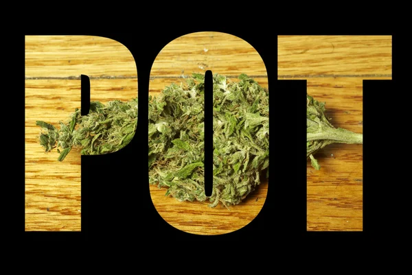 Medicinsk marijuana — Stockfoto