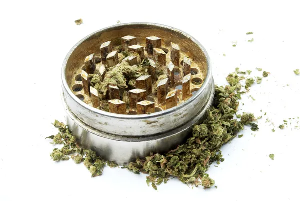 Marihuana — Stock fotografie