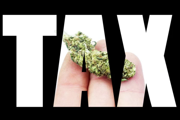 Marihuana, belasting — Stockfoto