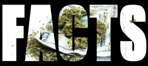 Marihuana en cannabis feiten — Stockfoto