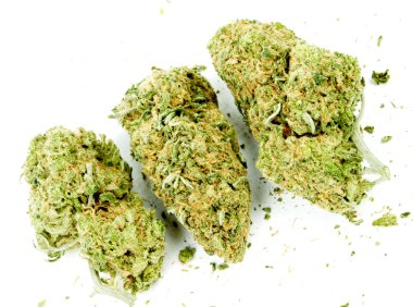 marihuana-cannabis, witte achtergrond