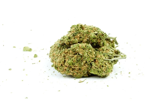 Marihuana konopí, bílé pozadí — Stock fotografie