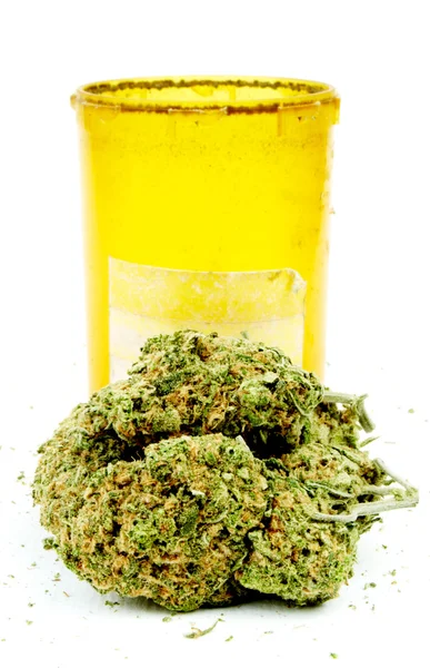 Marijuana cannabis, vit bakgrund — Stockfoto