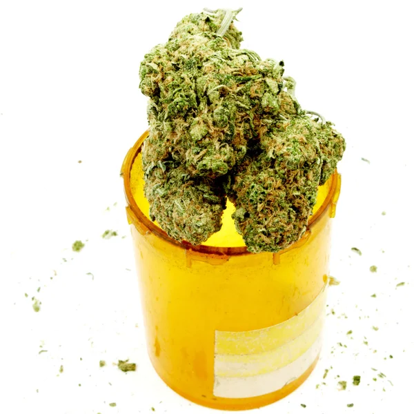 Cannabis de maconha, fundo branco — Fotografia de Stock