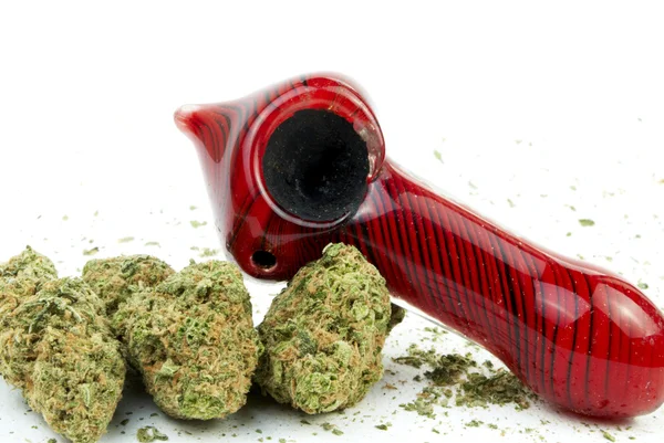 Marijuana cannabis, vit bakgrund — Stockfoto