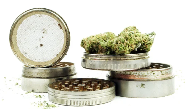 Marihuana Cannabis, fondo blanco — Foto de Stock