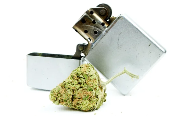 Marihuana-cannabis, witte achtergrond — Stockfoto