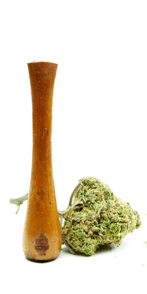 Marihuana konopie indyjskie, białe tło — Zdjęcie stockowe