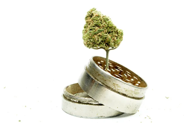 Marijuana — Stock Photo, Image