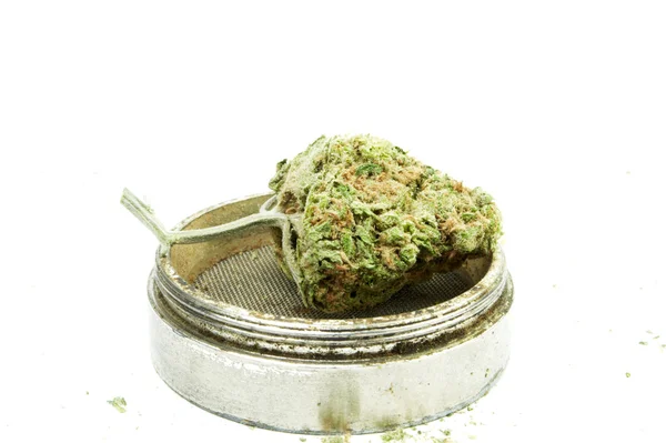 Marijuana Cannabis, fond blanc — Photo
