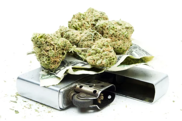 Marijuana Cannabis, Sfondo Bianco — Foto Stock