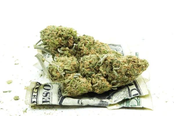 Marijuana cannabis, vit bakgrund — Stockfoto