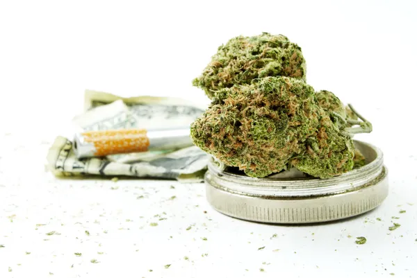 Marijuana Cannabis, White Background — Stock Photo, Image