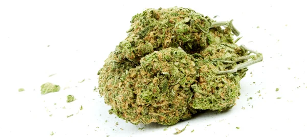Marijuana și canabis, fundal alb — Fotografie, imagine de stoc