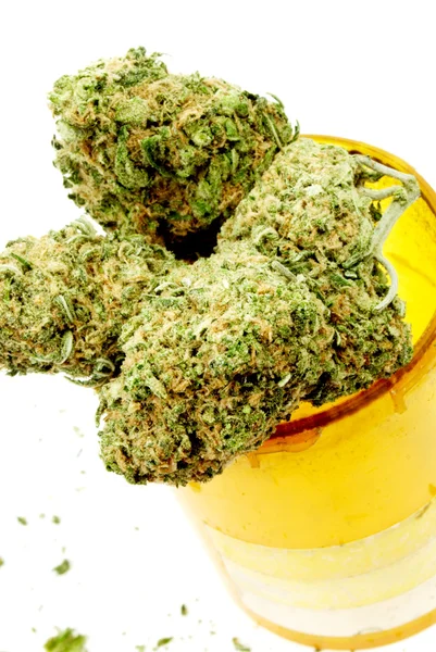 Marihuana y Cannabis, Fondo Blanco —  Fotos de Stock