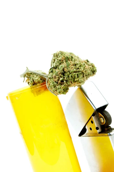 Marihuana y Cannabis, Fondo Blanco —  Fotos de Stock