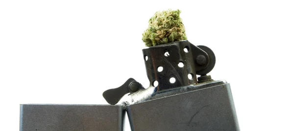 Marijuana and Cannabis, White Background — Stock Photo, Image