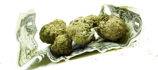 Marijuana e Cannabis, fundo branco — Fotografia de Stock