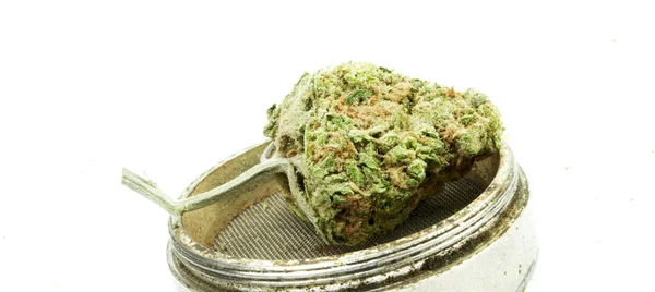 Marihuana i konopi, białe tło — Zdjęcie stockowe