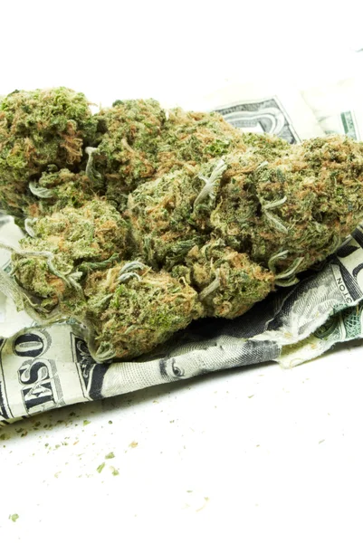 Marijuana och cannabis, vit bakgrund — Stockfoto