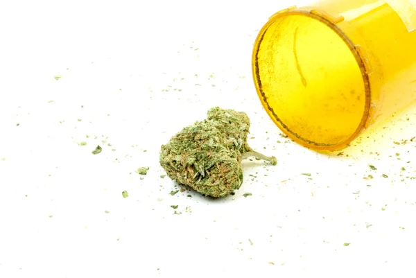 Marijuana and Cannabis, White Background — Stock Photo, Image