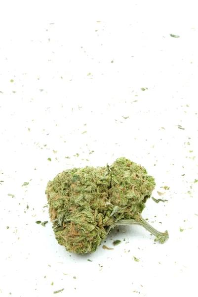 Marihuana und Cannabis, weißer Hintergrund — Stockfoto