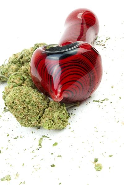 Marijuana och cannabis, vit bakgrund — Stockfoto