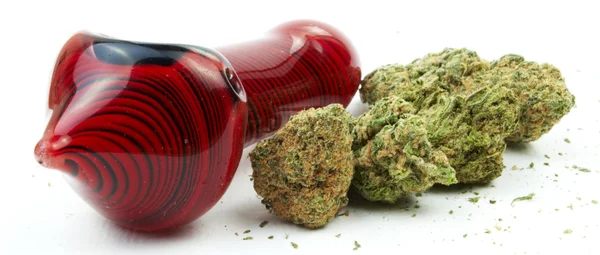 kenevir ve esrar, beyaz arka plan