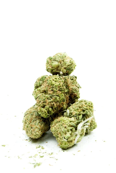 Cannabis — Foto Stock