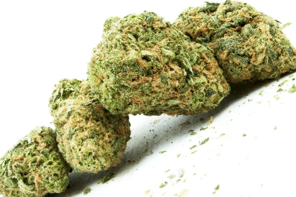 Marijuana et cannabis, fond blanc — Photo