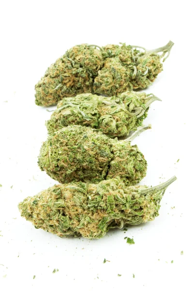 Marihuana —  Fotos de Stock