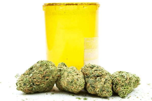 Marijuana och cannabis, vit bakgrund — Stockfoto