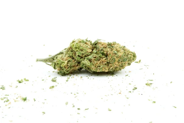 Marihuana a konopí, bílé pozadí — Stock fotografie