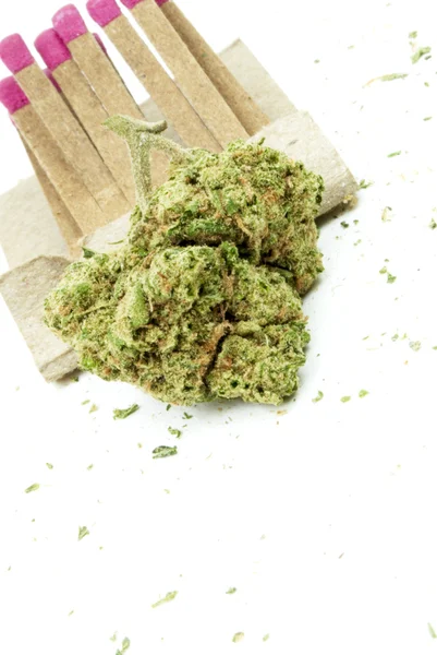 Marihuana und Cannabis, weißer Hintergrund — Stockfoto