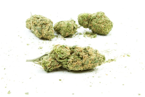 Marijuana et cannabis, fond blanc — Photo
