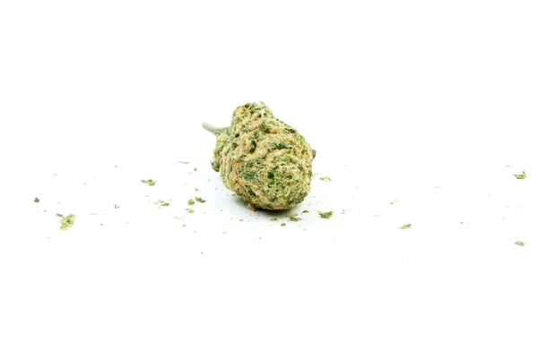 Marihuána és a cannabis, fehér háttér — Stock Fotó